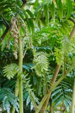 CFGdt85.jpg 87318