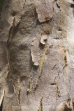 CFGe003.jpg 59646