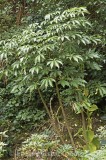 CFGe846.jpg 67947