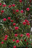 CFGea20.jpg 87952