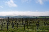 CFGeb19.jpg 88051