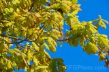 CFGeb65.jpg 88097