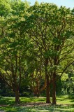 CFGeg80.jpg 88612