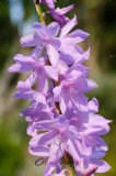 CFGek29.jpg 88961