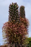 CFGen15.jpg 89247