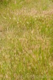 CFGeo55.jpg 89387