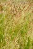 CFGeo59.jpg 89391