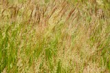 CFGeo60.jpg 89392
