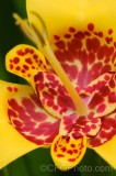 CFGep55.jpg 89487