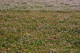 CFGeq47.jpg 89579