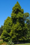 CFGes73.jpg 89805