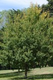 CFGet25.jpg 89857