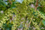 CFGeu01.jpg 89933