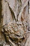 CFGeu49.jpg 89981