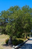 CFGev58.jpg 90090