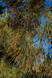 CFGew10.jpg 90142