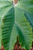 CFGew37.jpg 90169