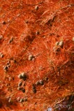 CFGew41.jpg 90173