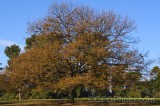 CFGez03.jpg 90436