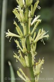 CFGf110.jpg 67855