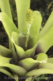 CFGf378.jpg 61491