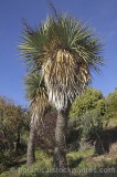 CFGf440.jpg 57061