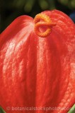 CFGf516.jpg 62165