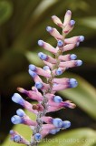 CFGf803.jpg 61493