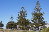 CFGf829.jpg 62113