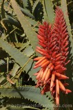 CFGf837.jpg 54535