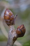 CFGfe93.jpg 91026