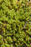 CFGfh45.jpg 91278