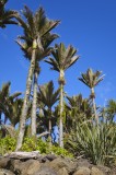 CFGfh82.jpg 91315