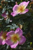 CFGfn11.jpg 91844