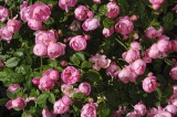 CFGfq54.jpg 92187