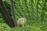 CFGfq86.jpg 92219