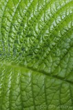 CFGfq87.jpg 92220