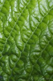 CFGfq88.jpg 92221