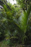 CFGfr54.jpg 92287