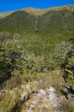 CFGfs44.jpg 98264