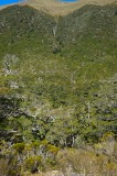 CFGfs45.jpg 98265