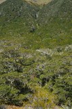 CFGfs46.jpg 98266