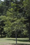 CFGfu16.jpg 92549