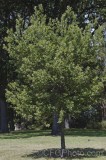 CFGfu19.jpg 92552