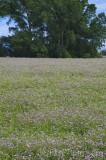 CFGfw67.jpg 92800