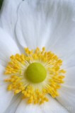 CFGfz83.jpg 93116