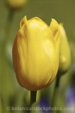 CFGg484.jpg 33657