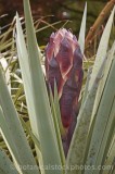 CFGg853.jpg 57083