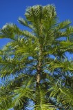 CFGgc49.jpg 93382