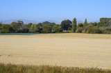 CFGgc56.jpg 93389